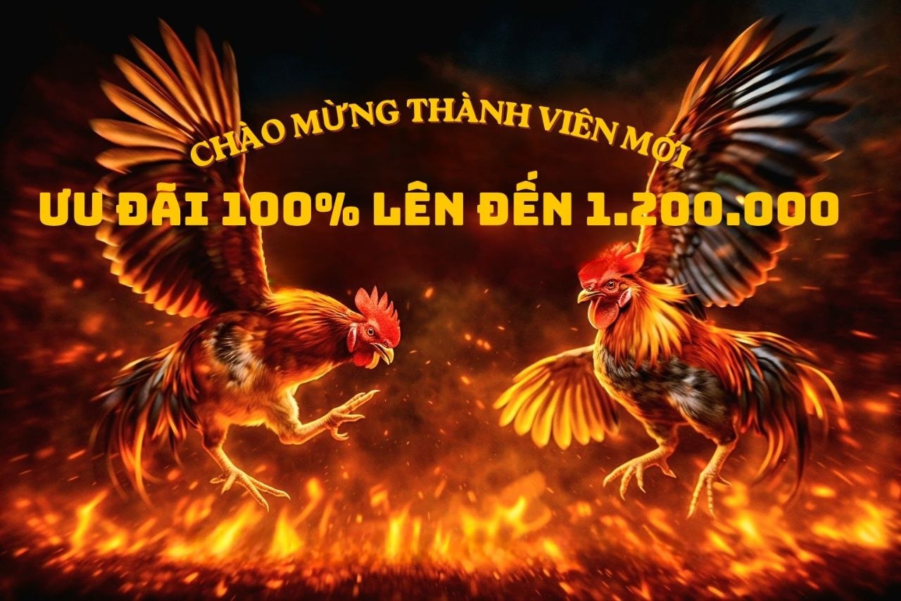 Chào mừng thành viên mới thưởng 100%